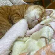 ヒメ日記 2025/10/21 12:50 投稿 そら 大宮おかあさん