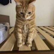 ヒメ日記 2026/04/26 11:29 投稿 そら 大宮おかあさん