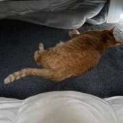 ヒメ日記 2026/04/30 22:56 投稿 そら 大宮おかあさん