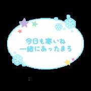 ヒメ日記 2024/02/05 11:23 投稿 ほたる 大宮おかあさん