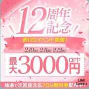 ヒメ日記 2024/02/07 23:41 投稿 ほたる 大宮おかあさん