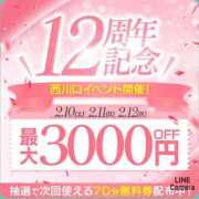 ヒメ日記 2024/02/09 10:51 投稿 ほたる 大宮おかあさん