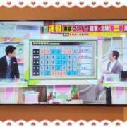 ヒメ日記 2024/02/15 15:21 投稿 ほたる 大宮おかあさん