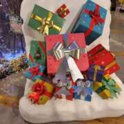 ヒメ日記 2024/12/17 11:41 投稿 ほたる 大宮おかあさん