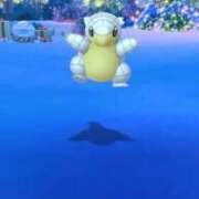 ヒメ日記 2024/12/23 13:21 投稿 ほたる 大宮おかあさん