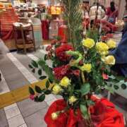 ヒメ日記 2025/01/01 23:01 投稿 ほたる 大宮おかあさん