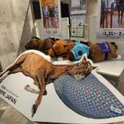 ヒメ日記 2025/02/05 11:41 投稿 ほたる 大宮おかあさん