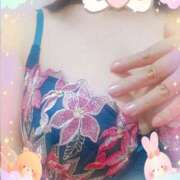 ヒメ日記 2025/02/14 12:21 投稿 ほたる 大宮おかあさん