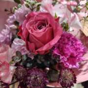 ヒメ日記 2025/02/14 16:31 投稿 ほたる 大宮おかあさん