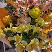 ヒメ日記 2025/02/14 16:51 投稿 ほたる 大宮おかあさん