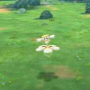 ヒメ日記 2025/02/20 17:31 投稿 ほたる 大宮おかあさん