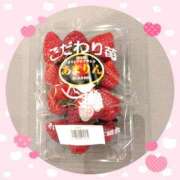 ヒメ日記 2025/03/02 13:21 投稿 ほたる 大宮おかあさん