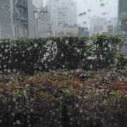 ヒメ日記 2025/03/03 14:51 投稿 ほたる 大宮おかあさん