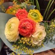 ヒメ日記 2025/03/11 16:01 投稿 ほたる 大宮おかあさん