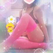 ヒメ日記 2025/03/16 08:01 投稿 ほたる 大宮おかあさん