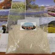 ヒメ日記 2025/03/30 13:21 投稿 ほたる 大宮おかあさん