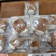 ヒメ日記 2025/04/24 16:21 投稿 ほたる 大宮おかあさん