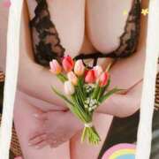 ヒメ日記 2025/04/30 14:41 投稿 ほたる 大宮おかあさん