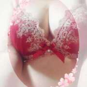 ヒメ日記 2025/05/21 11:02 投稿 ほたる 大宮おかあさん