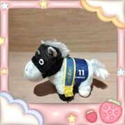 ヒメ日記 2025/06/19 16:04 投稿 ほたる 大宮おかあさん