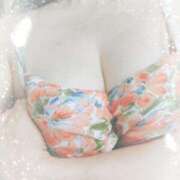 ヒメ日記 2025/06/25 10:31 投稿 ほたる 大宮おかあさん