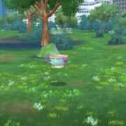 ヒメ日記 2025/08/05 00:01 投稿 ほたる 大宮おかあさん