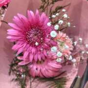 ヒメ日記 2025/08/11 19:26 投稿 ほたる 大宮おかあさん