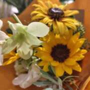 ヒメ日記 2025/08/11 19:49 投稿 ほたる 大宮おかあさん