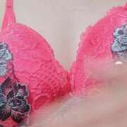 ヒメ日記 2025/08/31 10:53 投稿 ほたる 大宮おかあさん