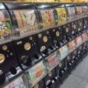 ヒメ日記 2025/09/01 18:26 投稿 ほたる 大宮おかあさん