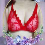 ヒメ日記 2025/09/05 11:46 投稿 ほたる 大宮おかあさん