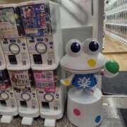 ヒメ日記 2025/09/05 13:56 投稿 ほたる 大宮おかあさん