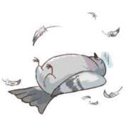 ヒメ日記 2025/11/02 16:36 投稿 ほたる 大宮おかあさん