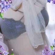 ヒメ日記 2025/11/03 12:26 投稿 ほたる 大宮おかあさん