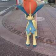 ヒメ日記 2025/12/01 16:56 投稿 ほたる 大宮おかあさん