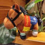 ヒメ日記 2026/01/27 17:16 投稿 ほたる 大宮おかあさん