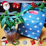 ヒメ日記 2024/12/05 18:41 投稿 まい 大宮おかあさん