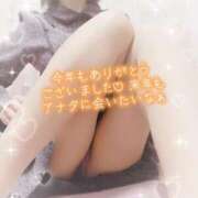 ヒメ日記 2024/12/30 22:01 投稿 まい 大宮おかあさん