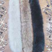 ヒメ日記 2025/03/30 17:41 投稿 まい 大宮おかあさん