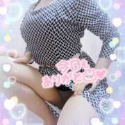 ヒメ日記 2025/04/05 21:31 投稿 まい 大宮おかあさん