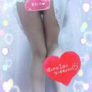 ヒメ日記 2025/04/07 12:03 投稿 まい 大宮おかあさん