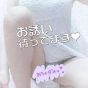 ヒメ日記 2025/04/12 11:47 投稿 まい 大宮おかあさん