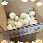 ヒメ日記 2025/04/24 12:57 投稿 まい 大宮おかあさん