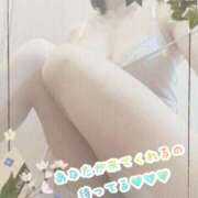 ヒメ日記 2025/05/21 11:51 投稿 まい 大宮おかあさん