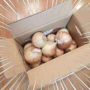 ヒメ日記 2025/05/27 14:21 投稿 まい 大宮おかあさん