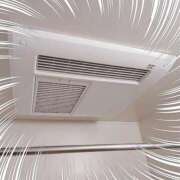 ヒメ日記 2026/01/29 17:16 投稿 まい 大宮おかあさん