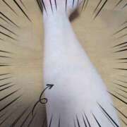 ヒメ日記 2026/03/29 16:36 投稿 まい 大宮おかあさん