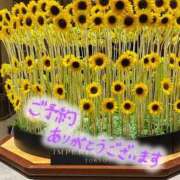 ヒメ日記 2025/07/13 10:23 投稿 みさき 大宮おかあさん