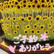 ヒメ日記 2025/08/23 11:16 投稿 みさき 大宮おかあさん