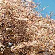 ヒメ日記 2026/03/31 16:56 投稿 みさき 大宮おかあさん